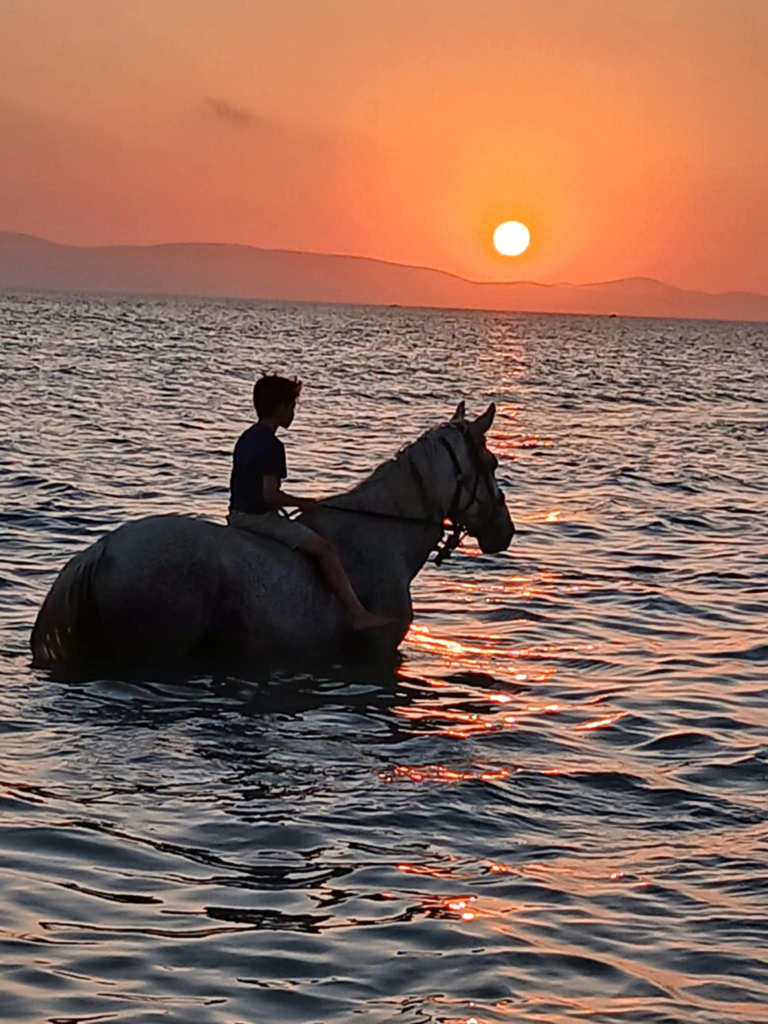 Horse riding in Naxos